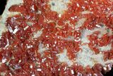 Ruby Red Vanadinite Crystals On Dolomite - Morocco #82369-2